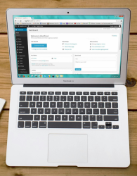 3 Cyber Blogs each week Monthly Subscription